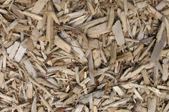 biomass boilers Loughbrickland